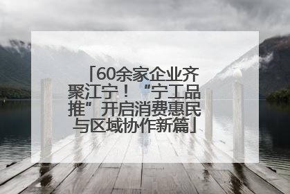 60余家企业齐聚江宁！“宁工品推”开启消费惠民与区域协作新篇