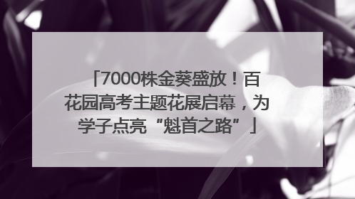 7000株金葵盛放！百花园高考主题花展启幕，为学子点亮“魁首之路”