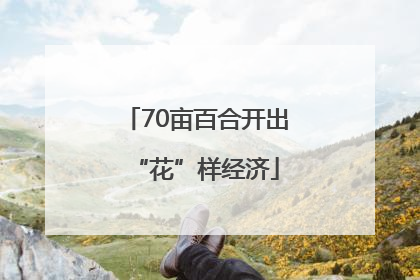 70亩百合开出“花”样经济