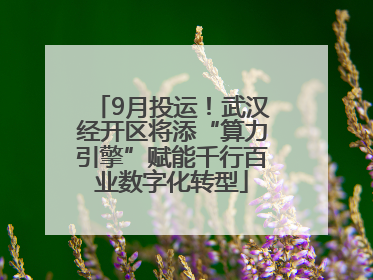 9月投运！武汉经开区将添“算力引擎”赋能千行百业数字化转型