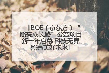 BOE（京东方）“照亮成长路”公益项目新十年启幕 科技无界照亮美好未来